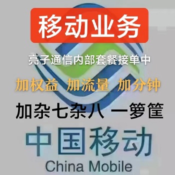<b>1Ԫ100ӹͨ  0Ԫ3Gͨ</b>