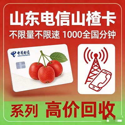 <b>ɽ������ɽ髿�ȫϵ�ײͻ���ָ�� | �߼��չ���</b>